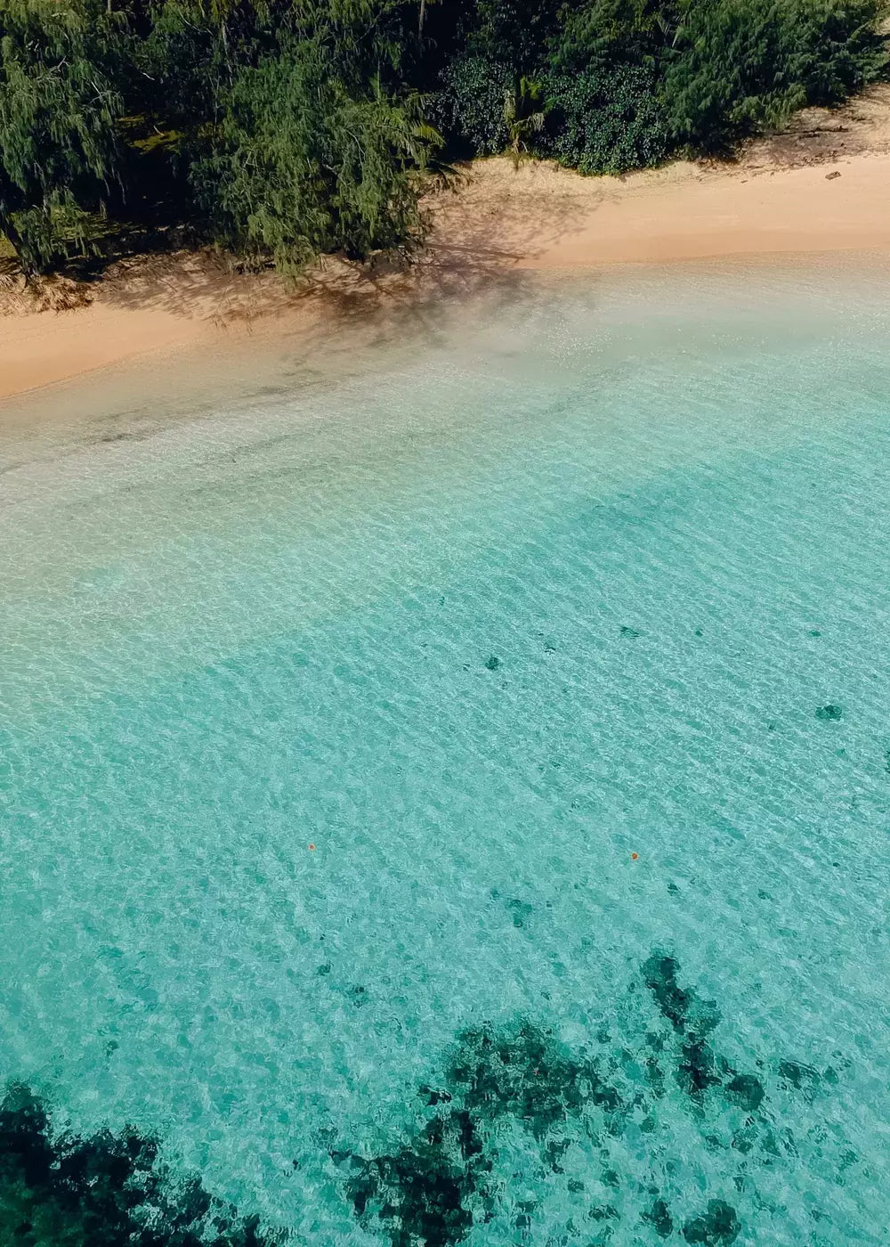 Palmenstrand Print, Fiji Wandbild Kunstdruck Fotografie