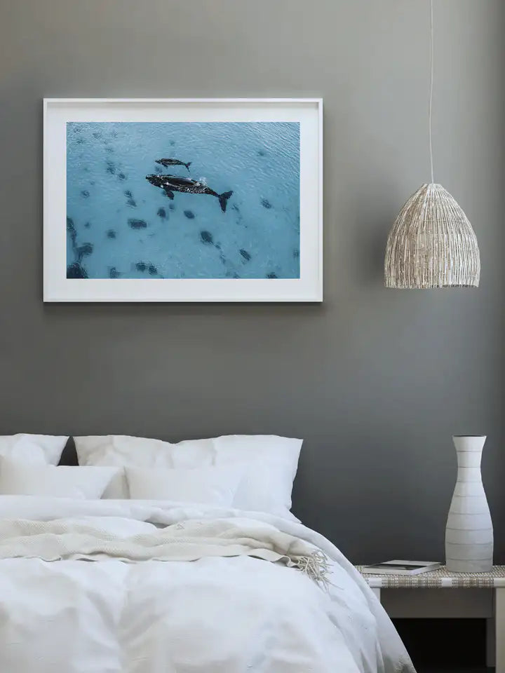 Australien Wandbild, Babywal und Mamawal Liebe