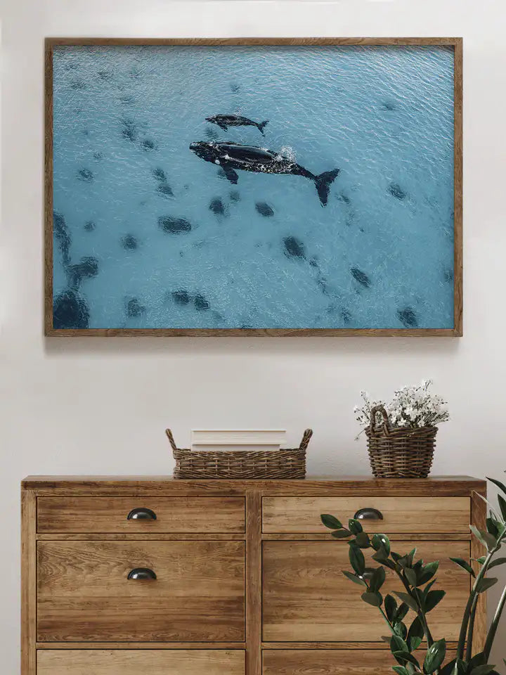 Australien Wandbild, Babywal und Mamawal Liebe