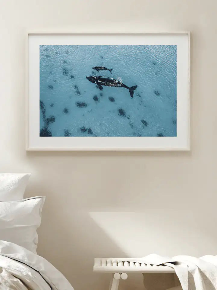 Australien Wandbild, Babywal und Mamawal Liebe