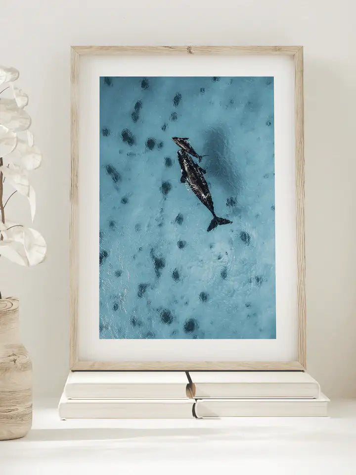 Babywal und Mamawal, Australien Wandbild