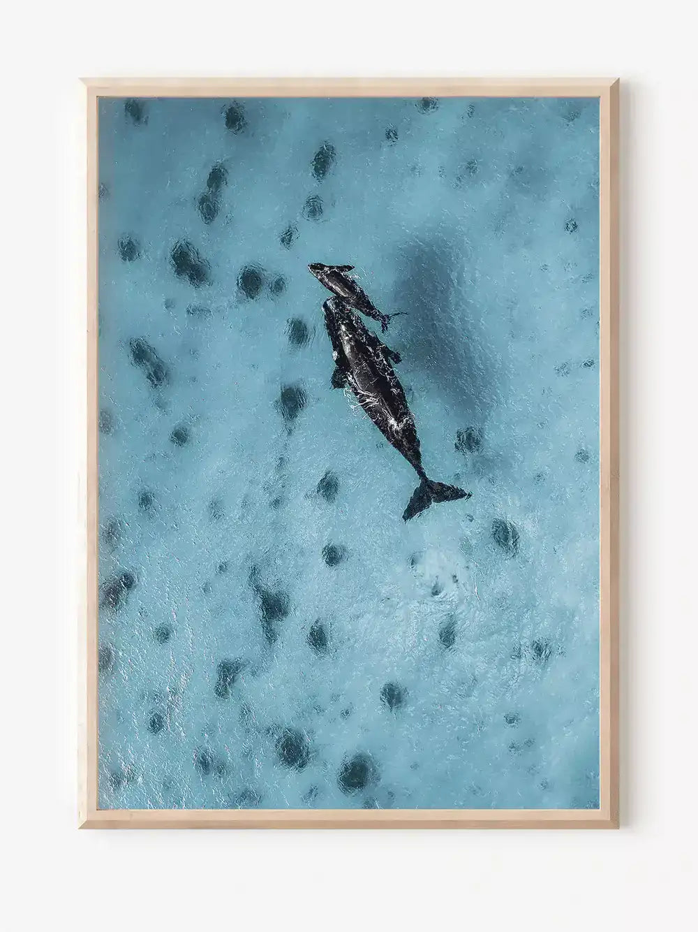 Babywal und Mamawal, Australien Wandbild