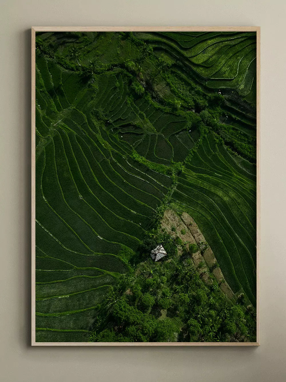 Bali Print Grüne Landschaft, Reisterrasse, Wandbild Naturprint