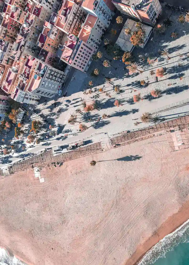 Barceloneta Palm Beach | Spanien Wandbild