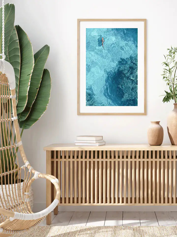 Blue Water Shark, Fiji Island Canvas Wandbild