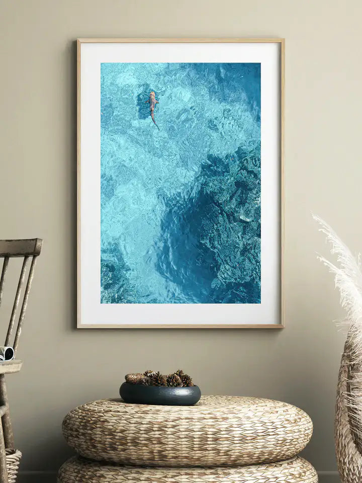 Blue Water Shark, Fiji Island Canvas Wandbild