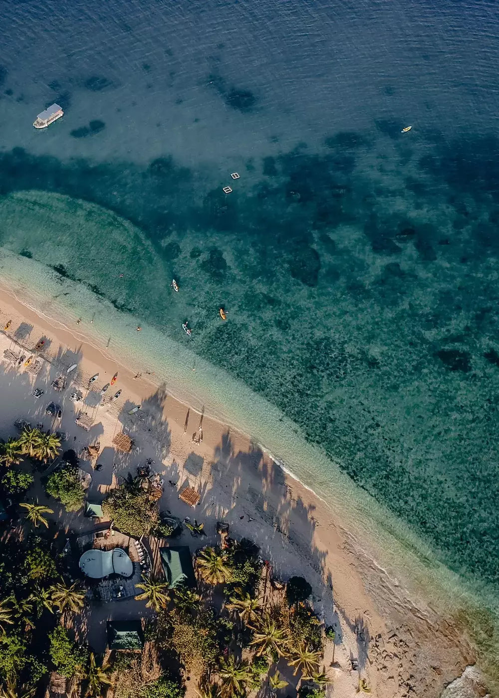 Fidschi Natur Paradies, Meer Welle Palmen Wandbild Fotografie