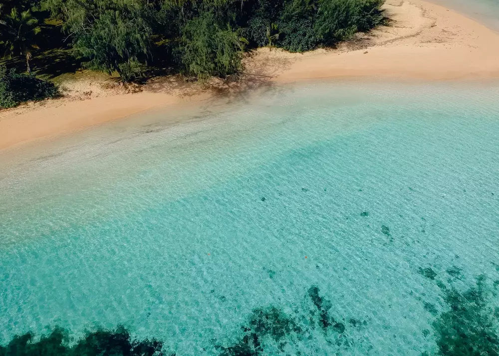 Fidschi Wandbild, Insel Strand Fotografie