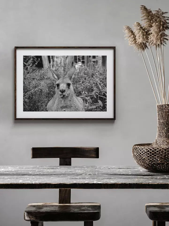 Happy Kangaroo Print Australien schwarz-weiß Fotografie