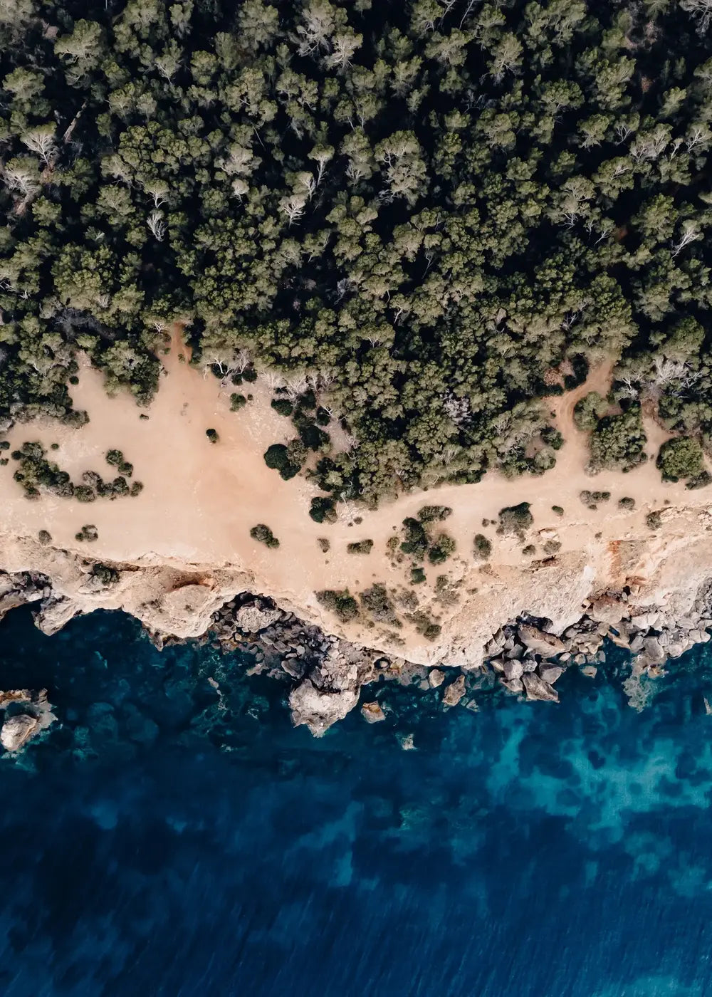 Ibiza Print Felsen Buch Strand, Spanien Portinatx Wandbild Kunstdruck
