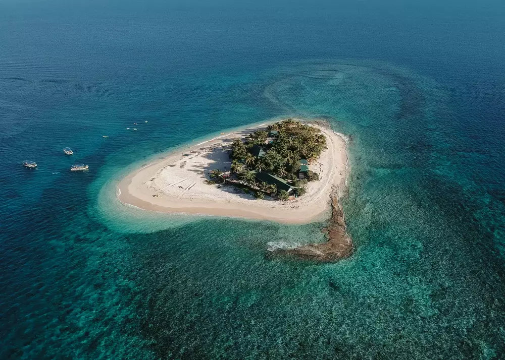 Insel Fidschi Wandbild, Palmen Meer Traumstrand Fotografie