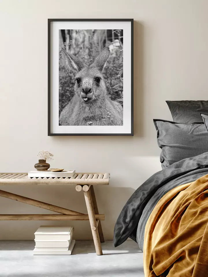 Kangaroo, Australien Wandbild