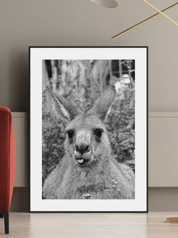 Kangaroo, Australien Wandbild