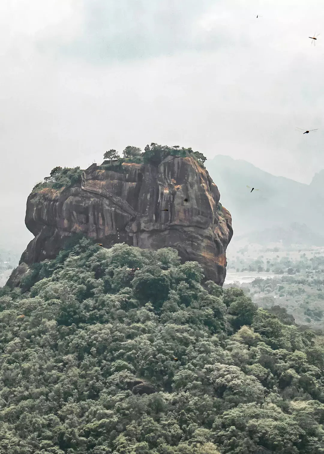 Sri Lanka Wandbild, Lion Rock