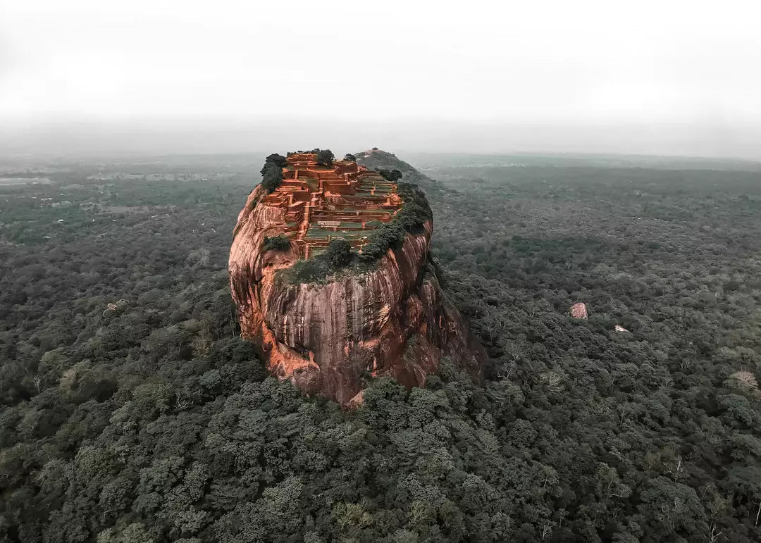 Löwenfelsen Lion Rock Sri Lanka, Wandbild Fotografie