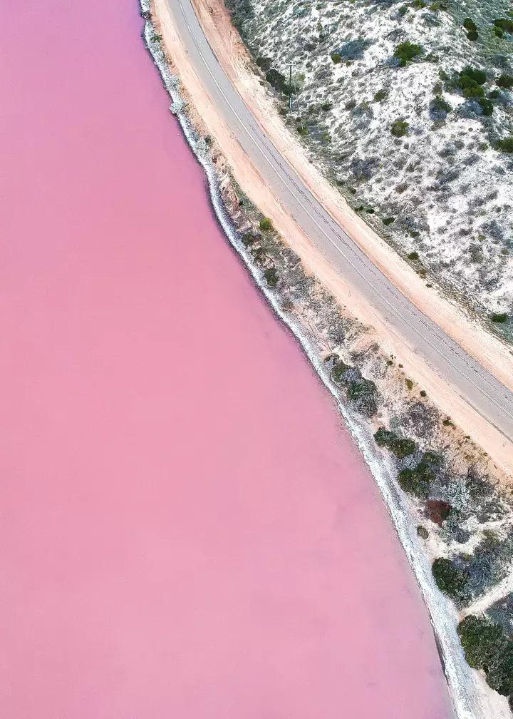 Pink Lake Road, Australien Wandbild