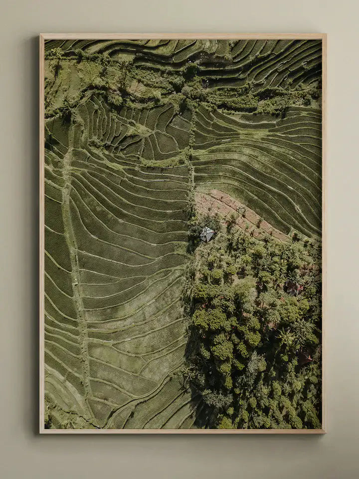 Reisterrassen Bali Print, Indonesien Wandbild Naturposter