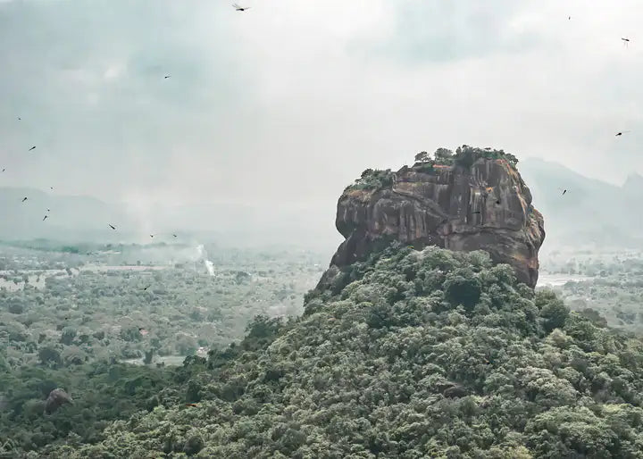 Sri Lanka Wandbild, Löwen Felsen Fotografie
